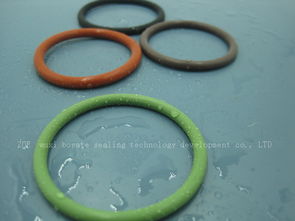 進口耐侵蝕氟膠密封圈 型號規格與價格解析